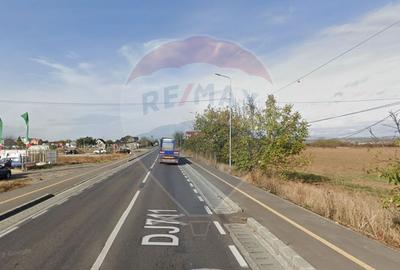 Teren Construcții intravilan de 6450 mp, în Exterior Vest - 6