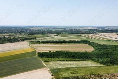 Teren de 15740 mp, în Central - 1