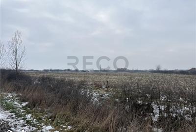 Teren de 26000 mp, în Cefa - 4