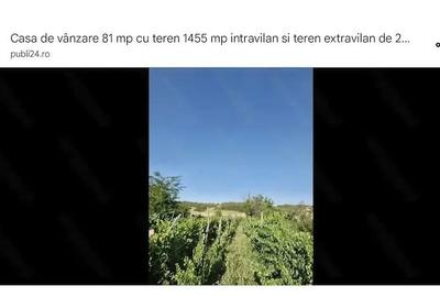 Casă cu Teren 1450 Mp în Gohor - 6