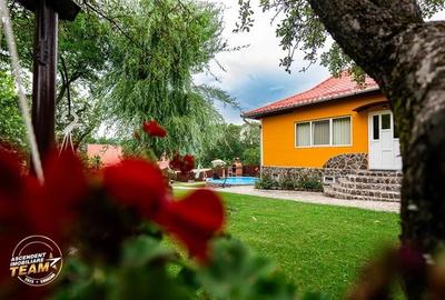 FILM&3D! Doua case cu:piscina,foisor,arbori decorativi,1.700mp teren,Lutoasa,Cov