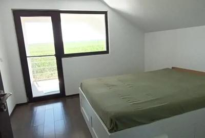 Casă cu 2 camere în Mlenăuți - 9