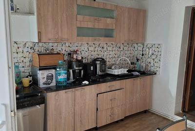 Casa de vanzare becicherecu mic - 3