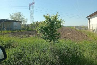 Teren de 5755 mp, în Oșorhei - 3