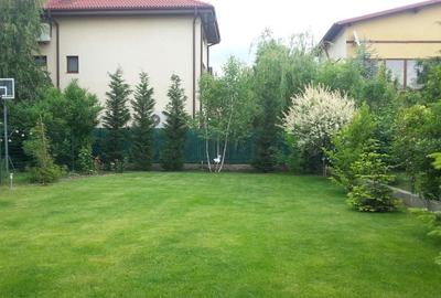 Vila in zona Iancu Nicolae - NEMOBILATA - 9