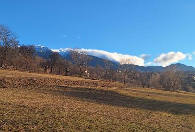 Spațiu comercial, în Sohodol - 8