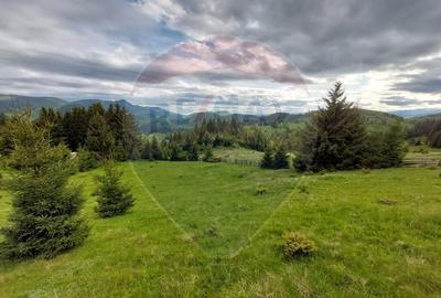 O fereastra catre cer teren de vis in Fundata, la ... - 13