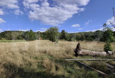 De vanzare casa, zona turistica Vadu Crisului - Bratca, cu t - 6