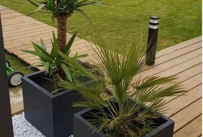 Casă individuală cu 3 camere cu Teren 500 Mp în Nord-Est - 6