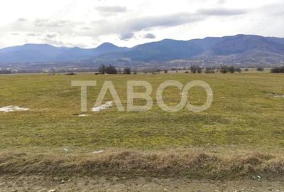 Teren de 10000 mp, în Central - 3