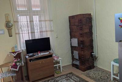 Casă cu 4 camere în Zimandu Nou - 2