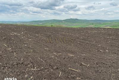 Teren de 10200 mp, în Budești - 2
