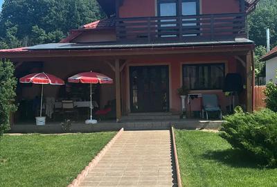 Propietate de vanzare,cu spatiu comercial 47mp, stradal dn7 pitesti Valcea,dupa hanul valea ursului! - 3