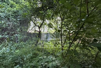 Casa individuala din caramida, 712mp teren, zona Traian - 1