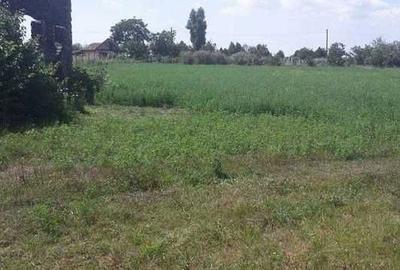 Casă cu 3 camere în Cuvin - 4