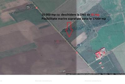 Teren agricol extravilan de 10000 mp, în Frumușani - 6
