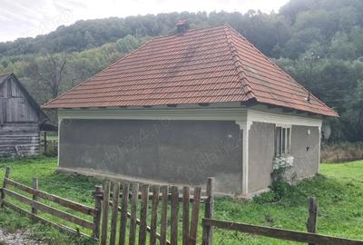 Vand proprietate pe Transapuseana - 2