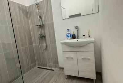 Apartament cu 2 camere decomandat, mobilat în Traian - 6