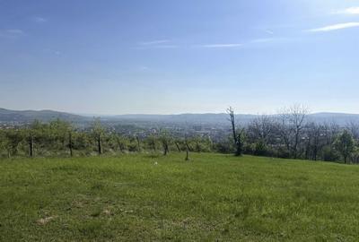 Teren Construcții intravilan de 700 mp, în Cetate - 2