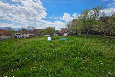 Casă cu 2 camere cu Teren 900 Mp în Mândra - 13