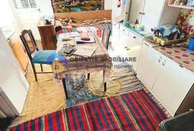 Casa tradi?ionala cu teren de vanzare Comuna ?tefan cel Mare - 6