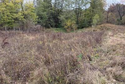 Teren de 700 mp, în Bălțățeni - 1