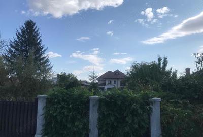 Teren de 4257 mp, în Ciolpani - 6