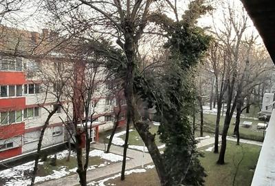 Apartament cu 2 camere semidecomandat, mobilat în Pajura - 7