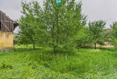 Casa de reabilitat pe teren generos- Comuna Varia? - 1