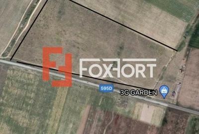 Teren agricol extravilan de 70000 mp, în Moșnița Veche