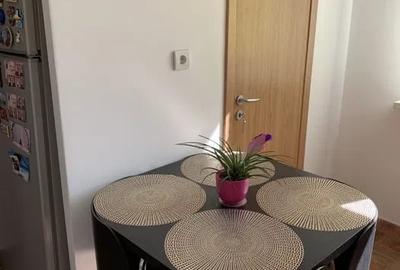 Apartament cu 2 camere decomandat, mobilat în Valea Ialomiței - 7