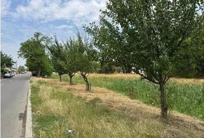 Casa si teren Iasi, cota parte 3/56 ; ID: R2677177 - 4