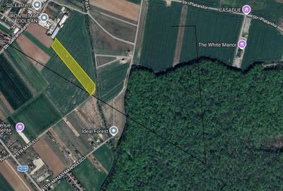 Teren în Ciolpani - 2