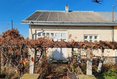 Casă cu 2 camere cu Teren 810 Mp în Leorda - 3