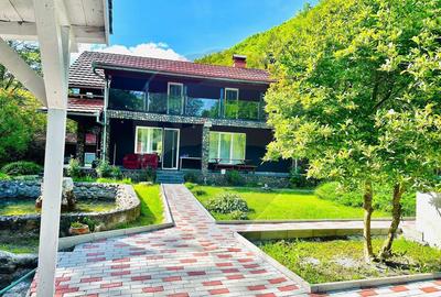 Cabana / casa de vanzare in Baisoara, 285 MP ! Piscina! C... - 11