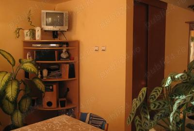 Apartament cu 4 camere în Aluniș - 1