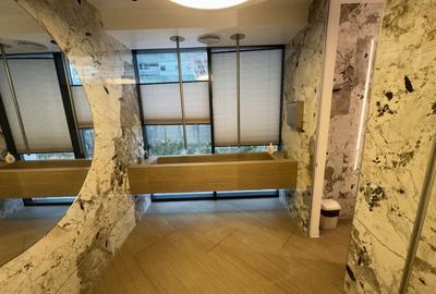 Spațiu comercial, de 356 mp, în Pipera - 8