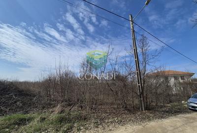 Teren Construcții intravilan de 2000 mp, în Balotești - 6