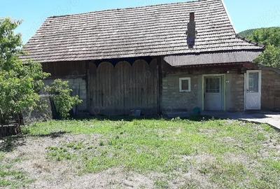 Casă cu 3 camere cu Teren 4000 Mp în Tămașa - 3