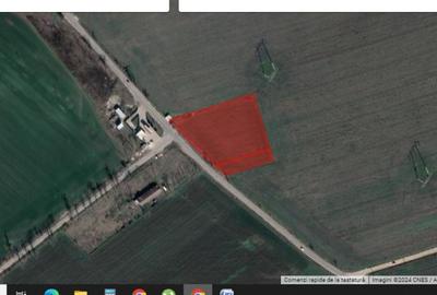 FRUMUSANI-BUDESTI 10000 MP DIRECT DN4 - 3