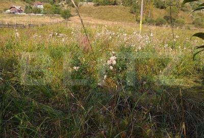 Teren de 7500 mp, în Central - 4