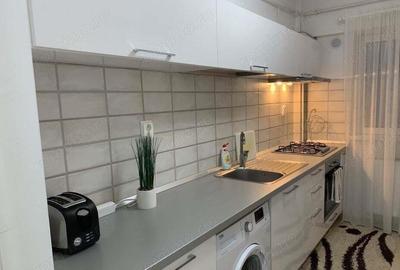 Apartament 2 camere zona Banu Manta - 3