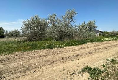 TEREN INTRAVILAN DESTINATIE REZIDENTIALA. - 7