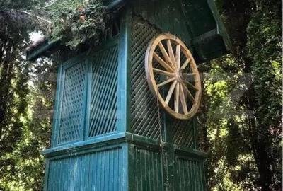 Casa de Vacan?a pe Valea Ighielului 3 camere, 2500 mp curte - 8