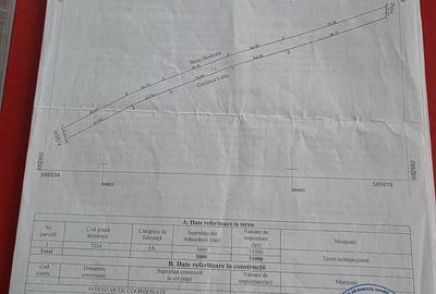 Teren de 5000 mp, în Exterior Vest - 2