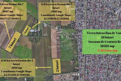 Braila- Teren de Vanzare format din 16 loturi- 19503 mp - 1