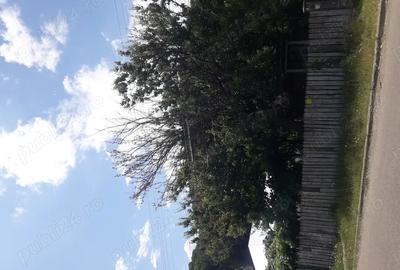 Vand casa in Piatra Neam?. - 2