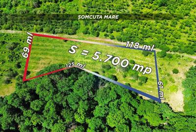 Teren Construcții intravilan de 5700 mp, în Sud-Vest - 12