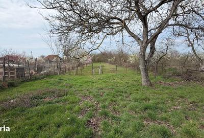 Casă cu 3 camere cu Teren 1798 Mp în Pișcolt - 3