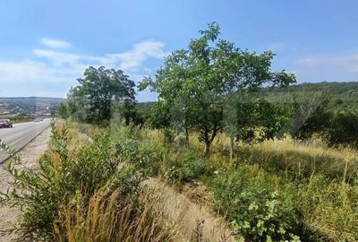 Teren de 1252 mp, în Central - 1